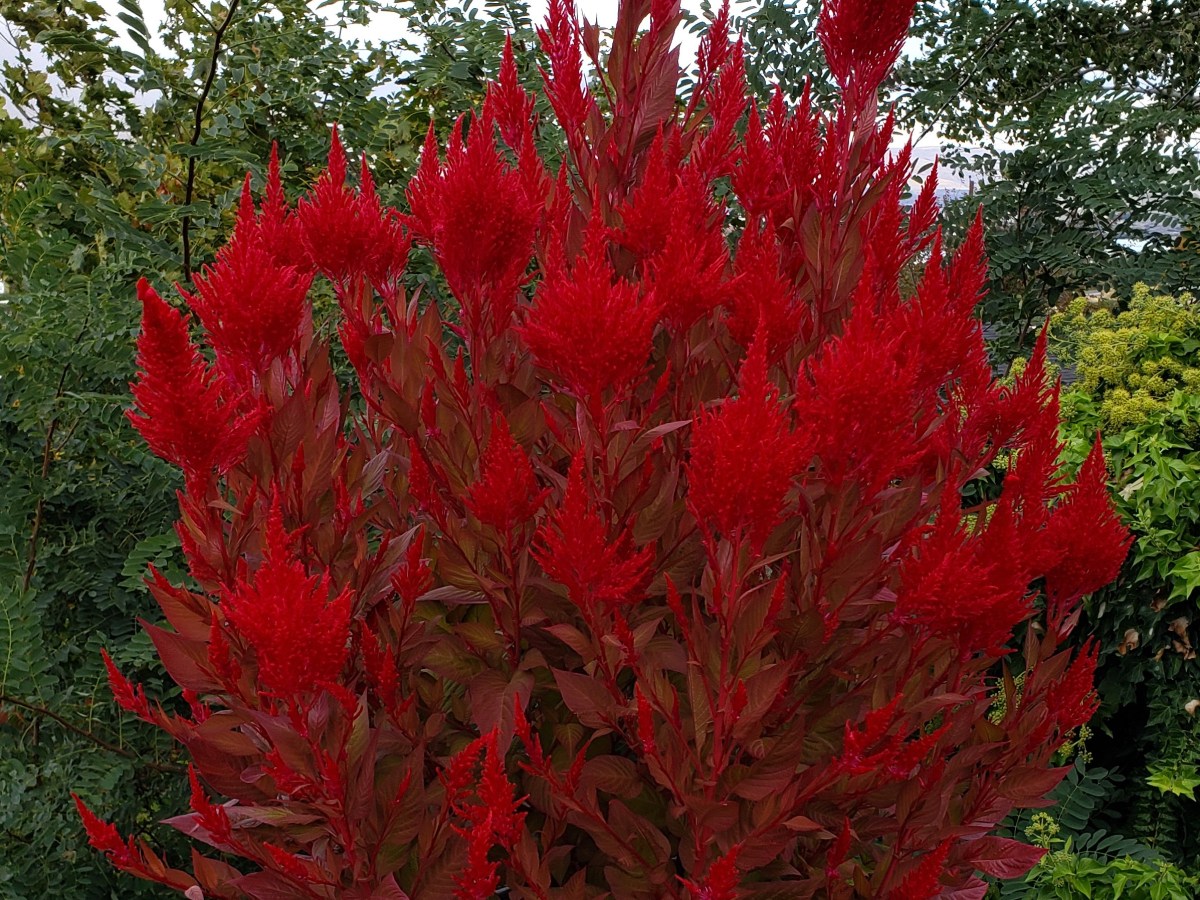 Why is my friend Brooke going to&nbsp;hell?